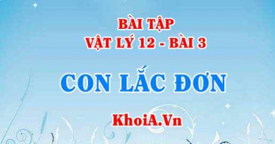 Bài tập Con lắc đơn: Giải bài 1, 2, 3, 4, 5, 6, 7 trang 17 SGK Vât lý 12 bài 3